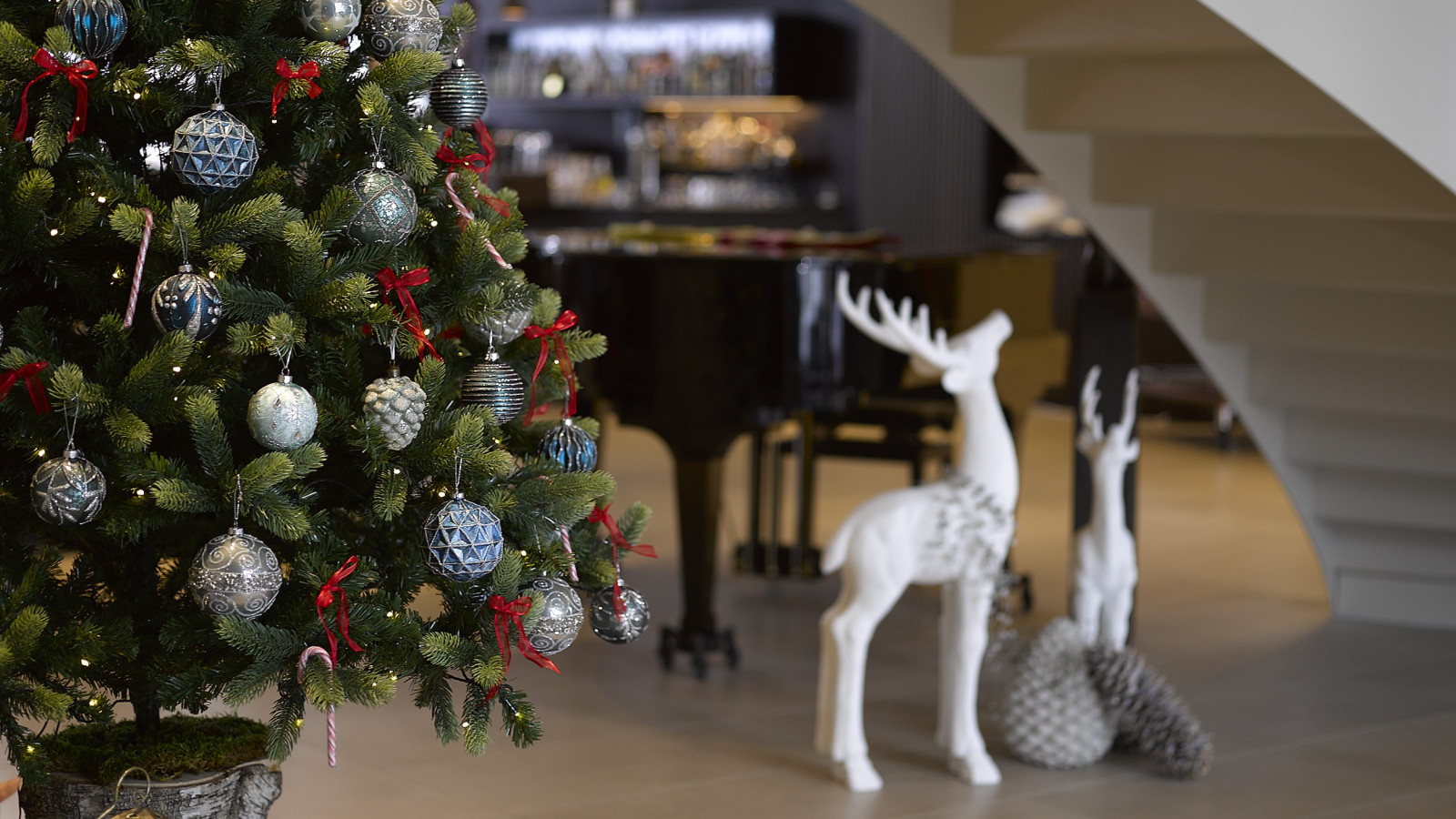 Aktion Wunschbaum 2025